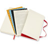 Еженедельник MOLESKINE Academic Soft WKNT Pocket, красный DSF218WN2