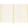 Еженедельник MOLESKINE CLASSIC WKNT XL DHM612WN4Y23 горчичный